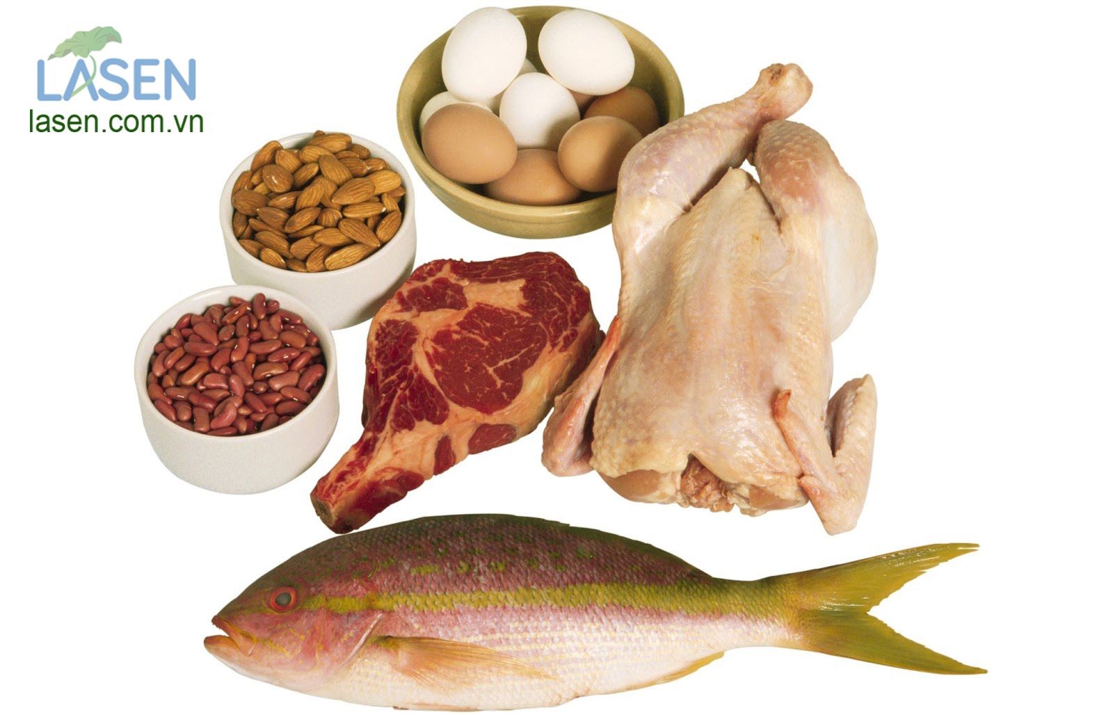 Thực phẩm bổ sung Protein giúp tăng kích thước vòng 1