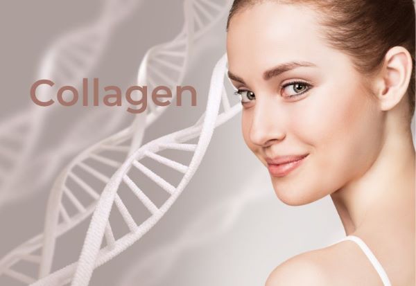 Collagen giúp trẻ hóa làn da, mang lại vẻ đẹp trường tồn