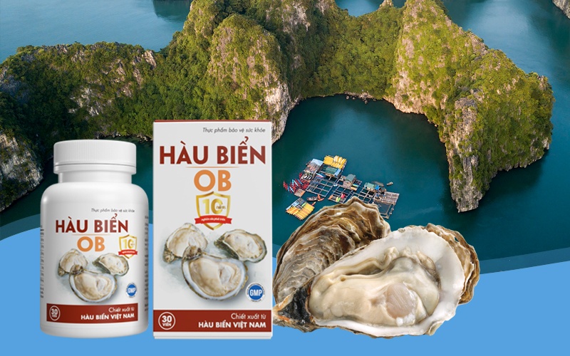 cách sử dụng hàu biển ob hiệu quả nhanh nhất