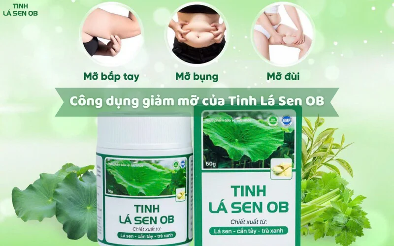 Công dụng nổi bật của tinh lá sen ob